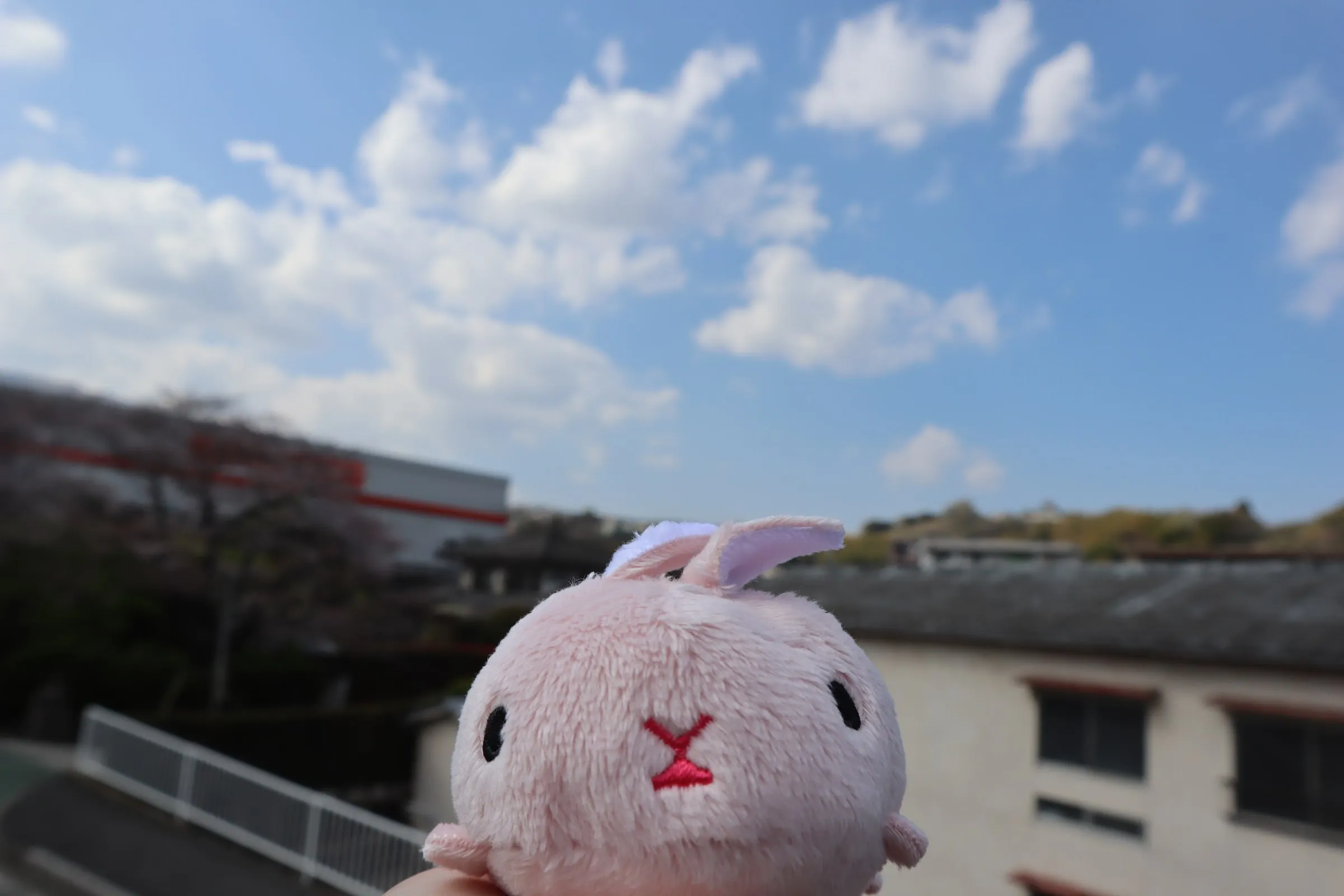 A pink plush bunny held up against a blue sky and rooftops.